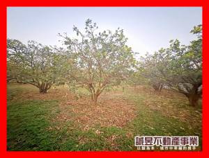 誠昱/麻豆文正國小旁都內.