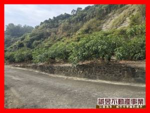 誠昱/玉井資材室夜景農地3