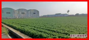 誠昱/新吉1公頃一般農牧用地