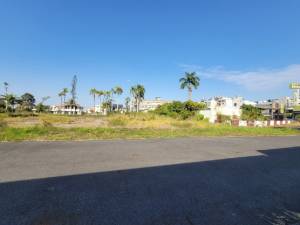 誠昱/仁德交流道千坪乙工.