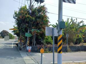 誠昱/左鎮菜寮低價農地