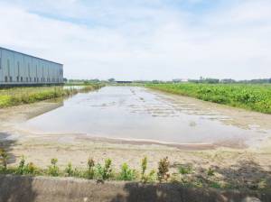 誠昱/近塭內國小2分美農.