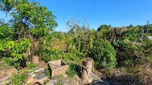 誠昱/玉井倒松朝鳳宮2..