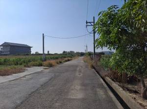 誠昱/安定南科港子尾農地