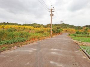 誠昱/國三六甲裕農都内農.