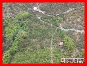 誠昱/雲頂民宿旁邊農地2