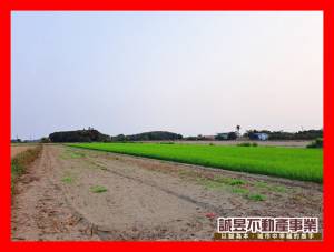 誠昱/後港庄內臨路方正農.