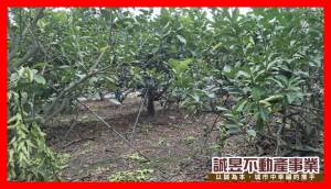 誠昱/九如鄉都內都外毗鄰.